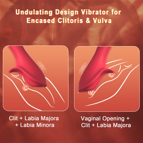 Vibrator Wand Women Sex Toys - 3 In 1 Clitoris Vagina Labia Vibrator, LCD Clitoral Stimulator 9 Vibration, Vibrating Nipple Bullet Female Adult Sex Toy, Healexcer Sexual Stimulation for Women Pleasure