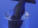 High Frequency Flapping Prostate Massager, Vibrating Butt Plug, App Remote Control Anal Plug Sex Toy, Anal Male Adult Sex Toys for Men Couples, MF JHEEO Anal Dildo Vibrator Play Juguetes Sexuales